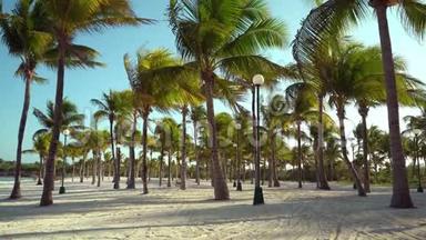 日落时透过椰子树观赏热带海滩。 棕榈树<strong>叶子</strong>在纹理沙上飘动的<strong>阴影</strong>